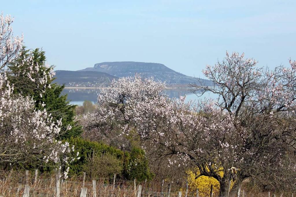 Kincses Vendeghaz Ξενοδοχείο Balatongyörök Εξωτερικό φωτογραφία